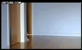 Bruuuuuuuuum brum brum brum