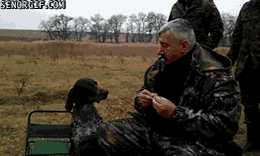 Taki piesek to skarb!