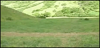DWAJ BLONDYNI!