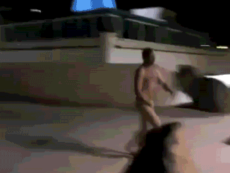 Panie! Na basen w drugą stronę!