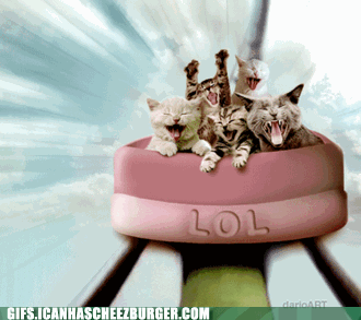 LOL...ercoaster!