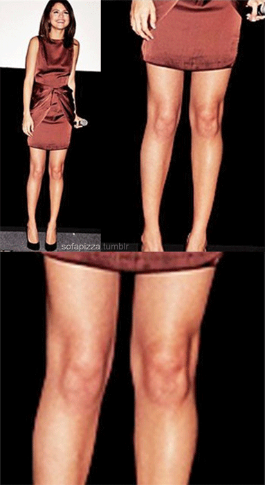 Selena w ciąży bliźniaczej