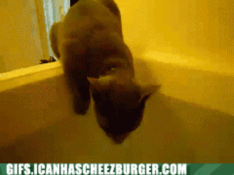 Z prędkością światła...