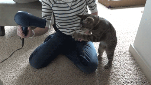 To ci dopiero dansior...